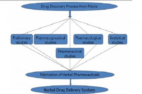  Design and Development of Herbal Drug Delivery System