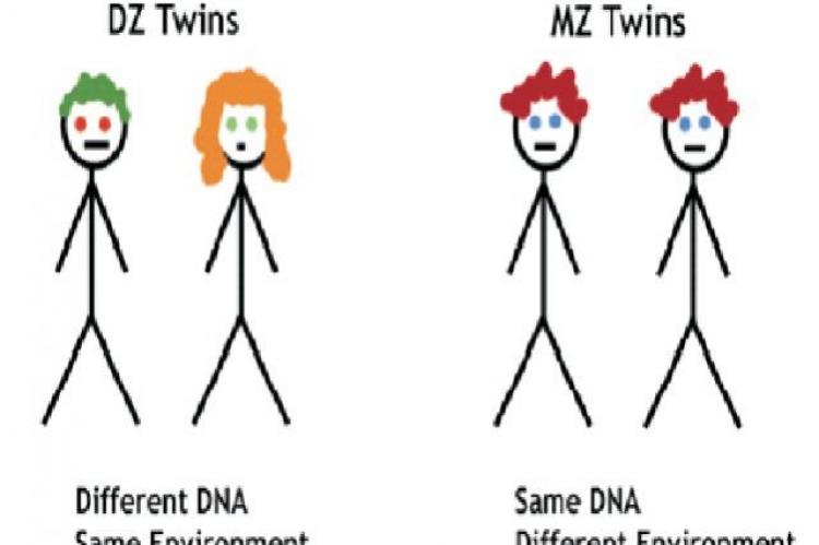 nature-versus-nurture-the-lesson-of-natural-succession-in-heredity