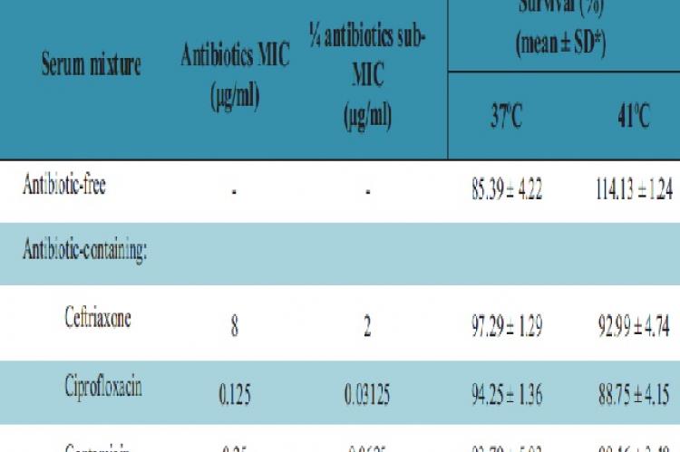 Survival of Escherichia coli ATCC 25922 in 50% human sera