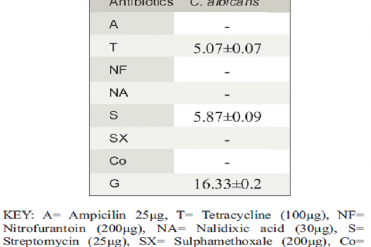 Antifungal activity of standard antibiotics against Candida albicans 