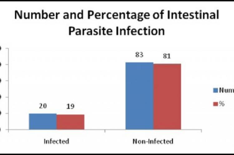 Status of Intestinal Parasite Infection among the free bonded laborers