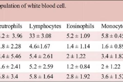 Differential white blood cells count in mice before treatment