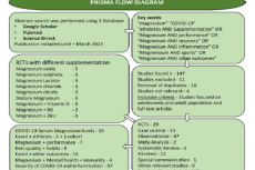 Exploring the Potential Role of Magnesium in Mitigating COVID-19 Among Athletes: A Narrative Review