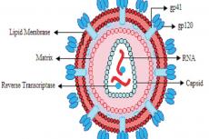 Structure of HIV virus
